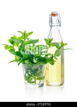 Sciroppo di menta dolce e foglie di menta isolate sullo sfondo bianco. Foto Stock