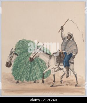 Un uomo che cavalca un mulo, la sua frusta sollevata, un altro mulo carico di erba accanto, da un gruppo di disegni raffiguranti abiti peruviani attribuiti a Francisco (Pancho) Fierro African Peruvian CA. 1848 da un gruppo di 37 disegni (acquerelli) che raffigurano costumi e costumi peruviani. Il tipo (costumbrismo) è stato stabilito da Francisco (Pancho) Fierro, un artista peruviano di origine africana che ha creato oltre 1000 opere di questo tipo, la cui popolarità ha generato molti imitatori. La qualità del gruppo attuale suggerisce che potrebbero essere autografi e non il lavoro di un seguace. Alcune sono datate 1848 e. Foto Stock