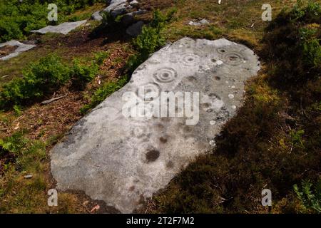 Coppa e anello antica roccia segnata Otterburn Northumberland Regno Unito giugno 2004 Foto Stock