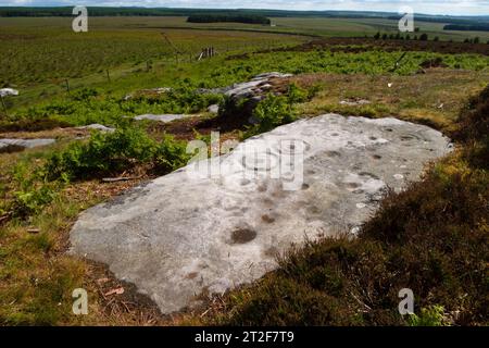 Coppa e anello antica roccia segnata Otterburn Northumberland Regno Unito giugno 2004 Foto Stock