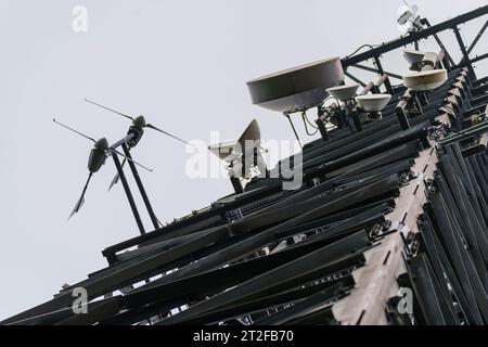 Bad Camberg, Germania. 20 ottobre 2023. Due delle otto turbine eoliche totali sono montate a un'altezza di 40 metri sotto il livello con l'apparecchiatura radio mobile sulla torre cellulare. L'operatore di torri cellulari Vantage Towers, insieme alla Start-up di energia eolica MOWEA con sede a Berlino, ha commissionato la prima torre cellulare con micro turbine eoliche integrate in Assia. L'energia rinnovabile generata dalle turbine viene utilizzata direttamente in loco per far funzionare il sistema, che può coprire fino al 100% della domanda di energia elettrica in condizioni di vento medio. Credito: Andreas Arnold/dpa/Alamy Live News Foto Stock