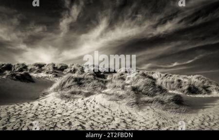 Primo piano sulla duna di Camber Sands Beach, East Sussex, Regno Unito Foto Stock