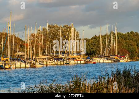 Yacht a vela in un porticciolo sul fiume Ryck, Greifswald, Meclemburgo-Vorpommern, Germania Foto Stock