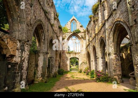 Rovine della chiesa di Abbaye de Beauport nel villaggio di Paimpol, dipartimento di Cotes-d'Armor, Bretagna francese. Francia Foto Stock