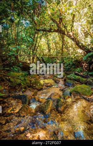 Il fiume del Parco Nazionale Cerro Azul Meambar (Panacam) a Yojoa. Honduras Foto Stock