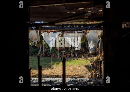 NIR Oz, Israele. 19 ottobre 2023. Una visione della devastazione causata dai militanti islamisti di Hamas sul kibbutz Nir Oz. Crediti: Ilia Yefimovich/dpa/Alamy Live News Foto Stock