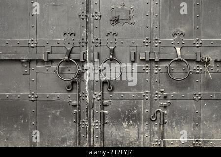 Le porte di ferro chiuse della Trinity-Sergius Lavra. Sergiev Posad. Russia Foto Stock