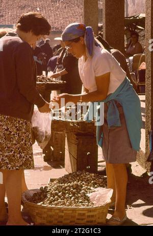 VENDEDORA CALLEJERA DE ALMEJAS - FOTO AÑOS 60. Località: MERCADO. SANTIAGO DE COMPOSTELA. UN CORUÑA. SPAGNA. Foto Stock