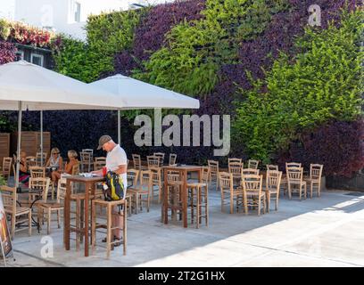 Il verde muro vivente in Paphos città vecchia, Cipro. Il giardino verticale è stato creato dal progettista di giardini Thanasis Evripidou e fatto fuori 2,244 piante. Foto Stock