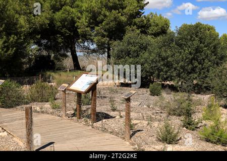 Torrevieja, Alicante, Spagna- 30 settembre 2023: Giardino botanico con piante aromatiche nel Parco naturale della Laguna Salada de la Mata y Torrevieja. Foto Stock