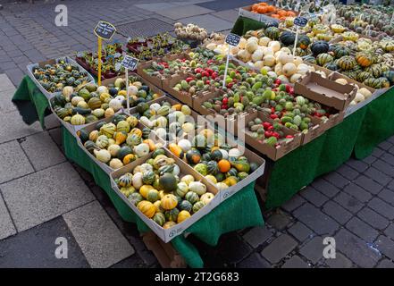 Cucurbita in una bancarella di mercato a York Foto Stock