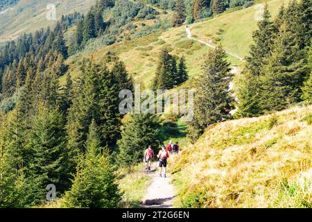 Escursionisti di montagna nel paesaggio austriaco Foto Stock