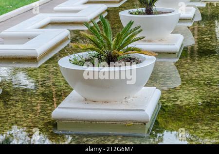 Vasi di palme in pietra bianca in una piscina formata da una fontana. Piccole palme in vasi grandi. Bellissimo giardino con decorazioni di lusso in Grecia. Foto Stock