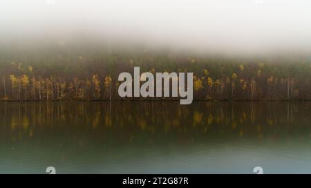 Ampio fiume VAG calmo acque autunnali con riflessi giallo e rosso foresta nebbiosa decidua vicino a Sutovo insediamento, Repubblica slovacca. Meteo Moody e tr Foto Stock