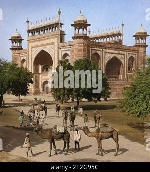 Cammelli in attesa sul lato sud-est di Darwaza-i-Rauza (porta d'ingresso) per il famoso Taj Mahal, Agra, India. 1903. Di Underwood & Underwood. Foto Stock