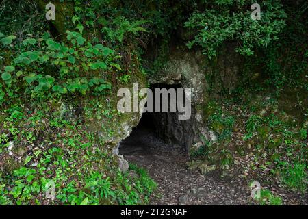 Foce di una vecchia miniera, miniera di costante, Parco Paleolitico della Cueva del Valle, Rasines, Cantabria, Spagna Foto Stock