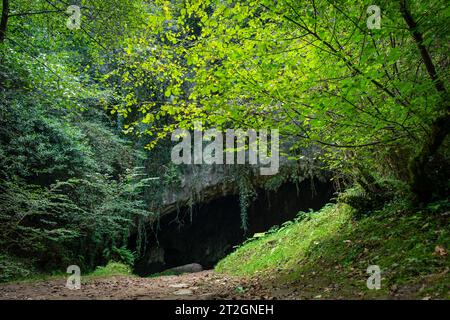 Parco paleolitico della Cueva del Valle, Rasines, Cantabria, Spagna Foto Stock