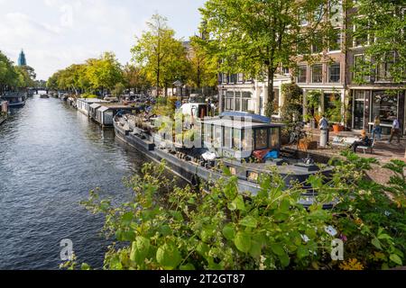 Vista sud lungo Prinsengracht, Amsterdam. Foto Stock