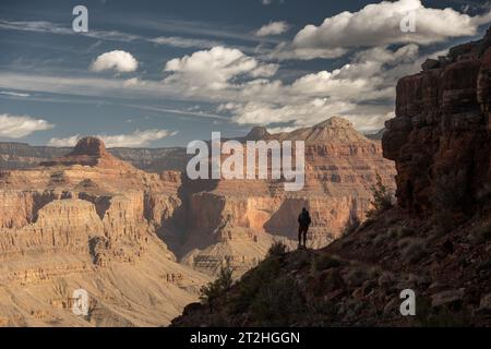 L'escursionista fa una pausa nelle Ombre per guardare dall'Hermit Trail al Grand Canyon in primavera Foto Stock