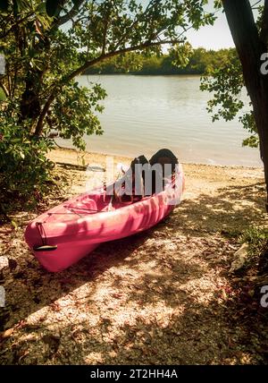 Kayak trainato sulla spiaggia coperta dalla fitta foresta nel Parco Nazionale delle Everglades Foto Stock