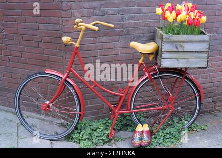 Bicicletta d'epoca colorata di fronte a un vecchio muro di mattoni con tulipani in una scatola per biciclette Foto Stock