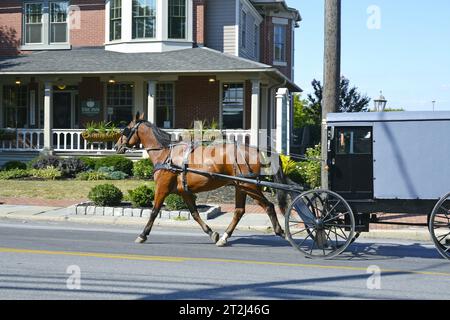 Tour in carrozza Amish trainata da cavalli a Bird in Hand, una comunità agricola nella contea di Lancaster, Pennsylvania. (USA Foto Stock