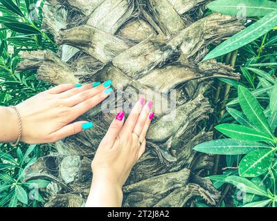 alberi esotici in un caldo paese tropicale. palme con foglie grandi e verdi. mano da ragazza con manicure rosa e turchese, chiodi alla moda perfetti. Foto Stock