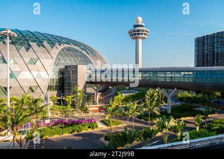 Aeroporto di Changi, Singapore - 24 gennaio 2020: Vista futuristica dell'aeroporto di Changi con ponte tra i terminal all'ora del tramonto, vista dalla finestra Foto Stock