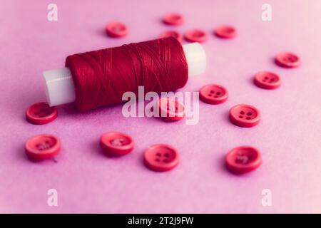 Struttura elegante con numerosi bottoni rotondi rosa per cucire, ricci e una bobina di filo. Copia spazio. Spianatura piatta. Sfondo rosa e viola. Foto Stock