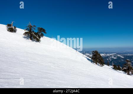 Panorama mozzafiato sulle piste innevate del centro sciistico Vasilitsa, Grevena, Grecia Foto Stock