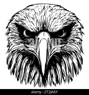 Schizzo della testa di aquila disegnato a mano in vettoriale bianco e nero. Disegno della testa di aquila calva Illustrazione Vettoriale