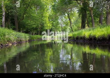 Fiume Niers, regione del basso Reno, Germania Foto Stock