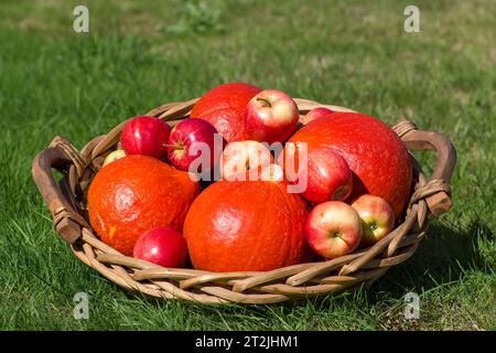 zucche e mele in un cesto sull'erba Foto Stock