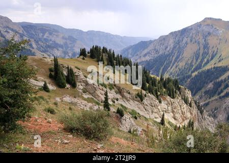 Il passo Moldo-Ashuu, distretto della regione di Songkol nel Kirghizistan occidentale Foto Stock