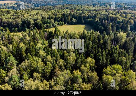 Foto aerea di un'area forestale con un campo nelle profondità della foresta, che vola sopra la cima degli alberi Foto Stock