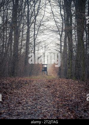 Caccia alla torre cieca in una strada autunnale con nebbia nella foresta Foto Stock