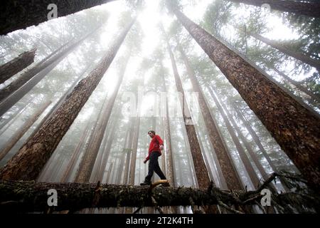 Un giovane si bilancia su un ceppo in una foresta nebbiosa. Foto Stock