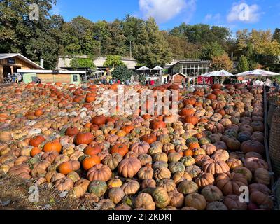 Festival della zucca a Ludwigsburg, Germania, 15 ottobre 2023: Il 25 agosto 2023, è stata inaugurata la più grande mostra della zucca al mondo in Blooming Baroque. Lo farà Foto Stock