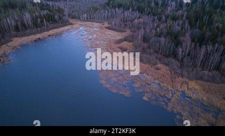 Vista aerea droni sulla sorgente del fiume, un affluente del fiume. Foresta autunnale Foto Stock
