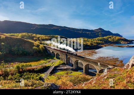 Treno a vapore giacobita che attraversa il viadotto a 8 archi nan Uamh sulla costa occidentale della Scozia in autunno Foto Stock
