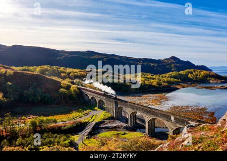 Treno a vapore giacobita che attraversa il viadotto a 8 archi nan Uamh West Coast Scozia in autunno Foto Stock