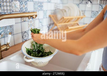 Primo piano delle mani femminili che lavano gli spinaci freschi. Una giovane donna in una cucina moderna e accogliente lava foglie verdi nel lavandino. Pulire le piastre sullo sfondo Foto Stock