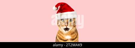 Gatto del Bengala che indossa il cappello di Babbo Natale, concetto natalizio, sfondo rosa. Copia spazio. Foto Stock