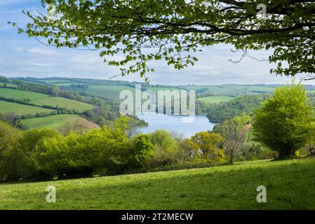 Lago artificiale Clatworthy nelle colline di Brendon, Somerset, Inghilterra. Foto Stock