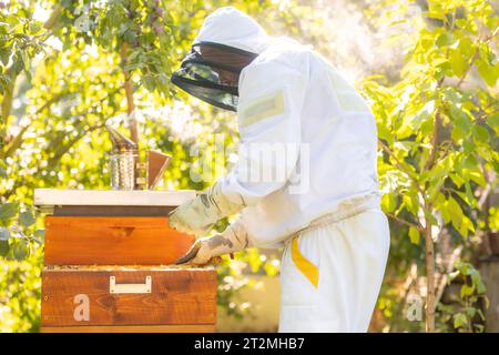 Apicoltore che si occupa della manutenzione del suo enorme apiario, rimuovendo vecchi farmaci dal pettine di miele, concetto di apicoltura Foto Stock