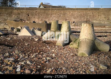 Foreshore concrete Defence Blocks a Swanbridge, vicino Penarth, Galles del Sud, Regno Unito Foto Stock