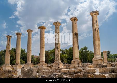 Galilea, Israele - 13 agosto 2023: Colonne romane al Parco Nazionale di Bet Shean, Scythopolis, Galilea, Israele Foto Stock