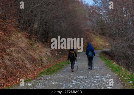 Sentiero escursionistico donne che camminano nei boschi naturali durante la stagione primaverile. Due persone attive escursionistiche turisti che indossano zaini all'aperto trekking nel Foto Stock