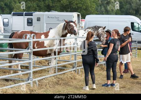 Cavalli in vendita e alcune parti interessate al mercato annuale dei cavalli di Havelberg in Germania Foto Stock