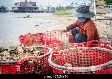 Vietnam centrale, 19 novembre 2022: Fisherman sta smistando la cattura mattutina di vongole sulla riva della laguna Tam Giang-Cau hai nel Vietnam centrale Foto Stock